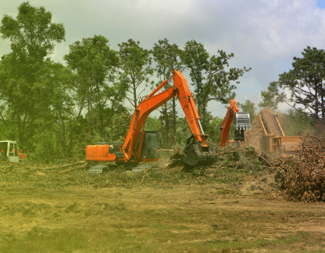 Land Clearing in {city}